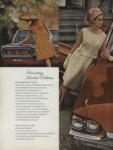 Ford 1965 154.jpg